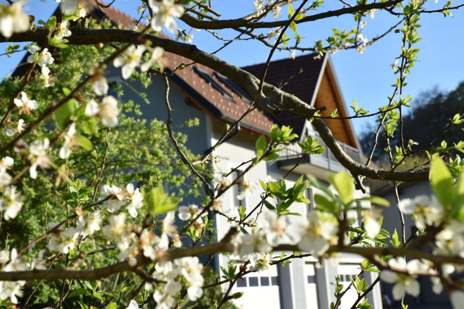 Ferienhaus Am Hof Zotter リーガースブルク エクステリア 写真